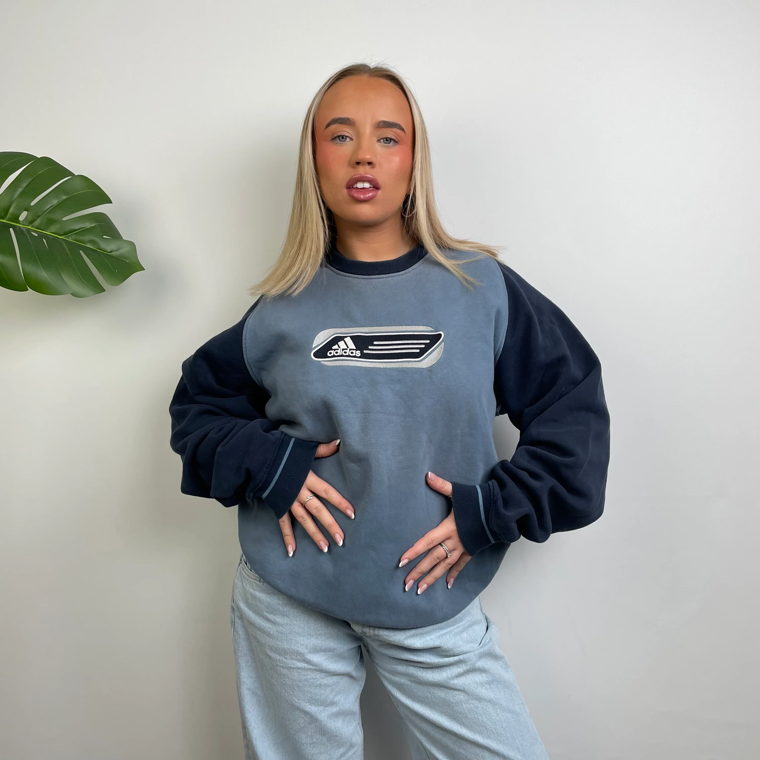 Adidas Baby Blue Embroidered Spell Out Sweatshirt (L)