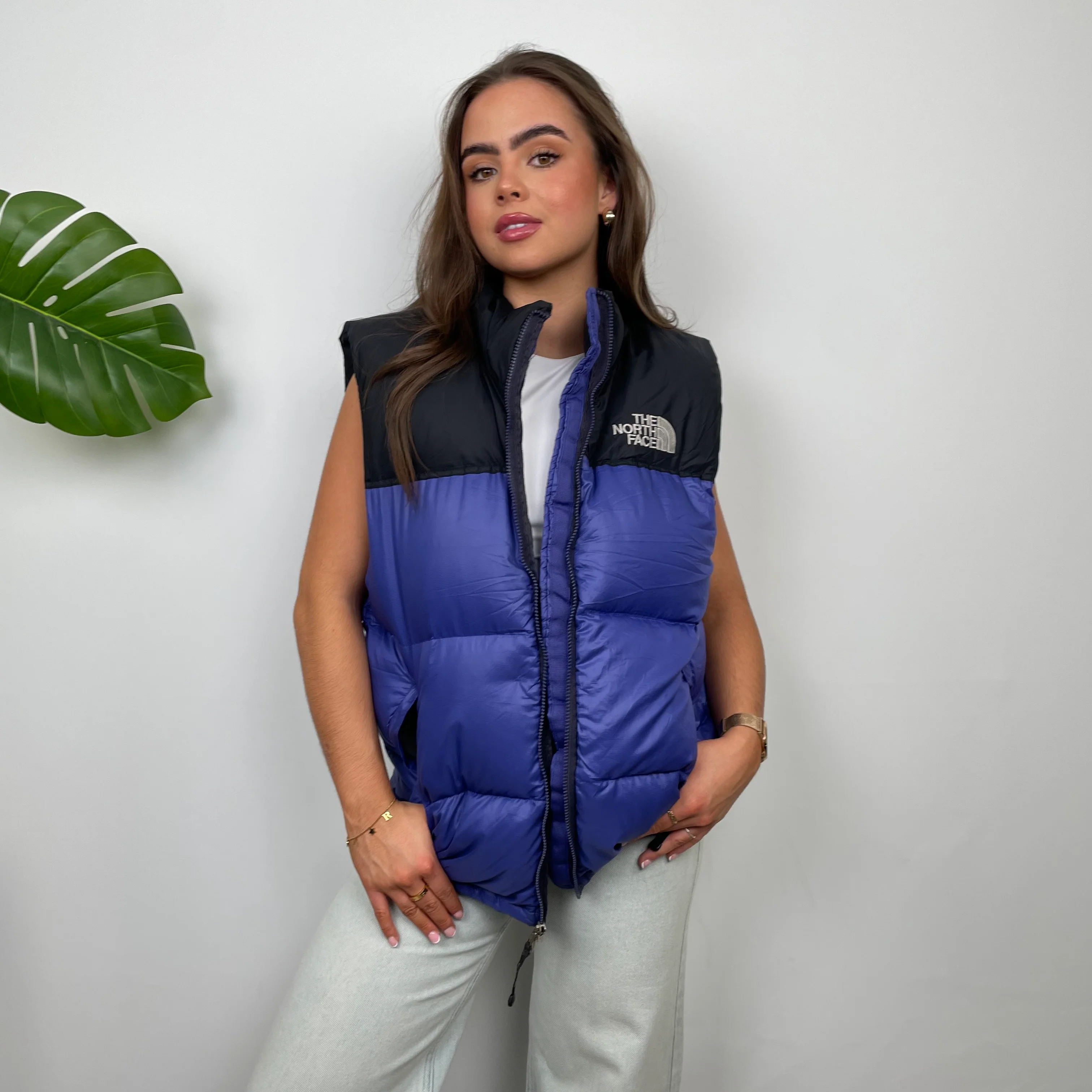North Face RARE Blue Nuptse 700 Puffer Gilet (M) - Image 2