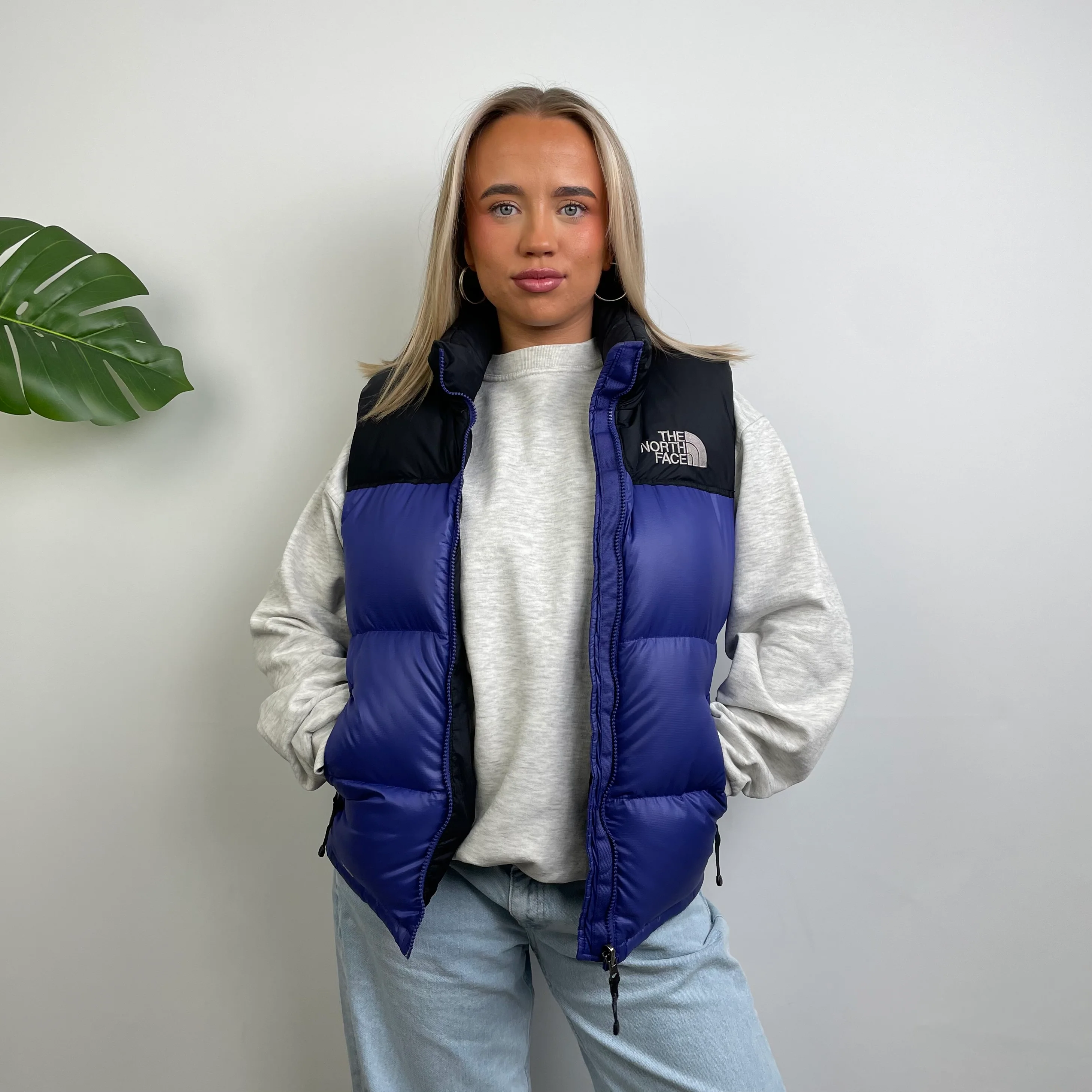 North Face RARE Blue Nuptse 700 Puffer Gilet (S)