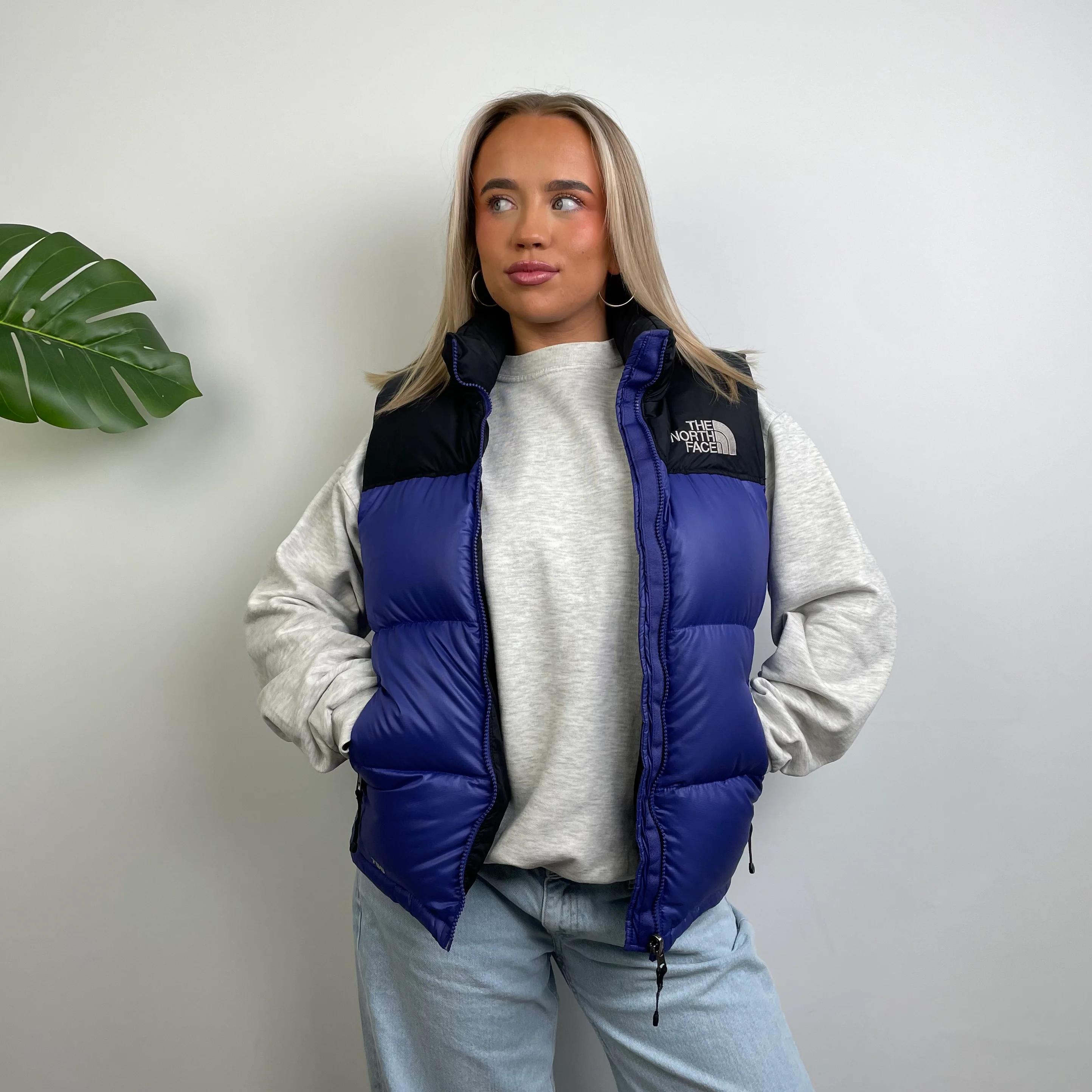 North Face RARE Blue Nuptse 700 Puffer Gilet (S) - Image 4