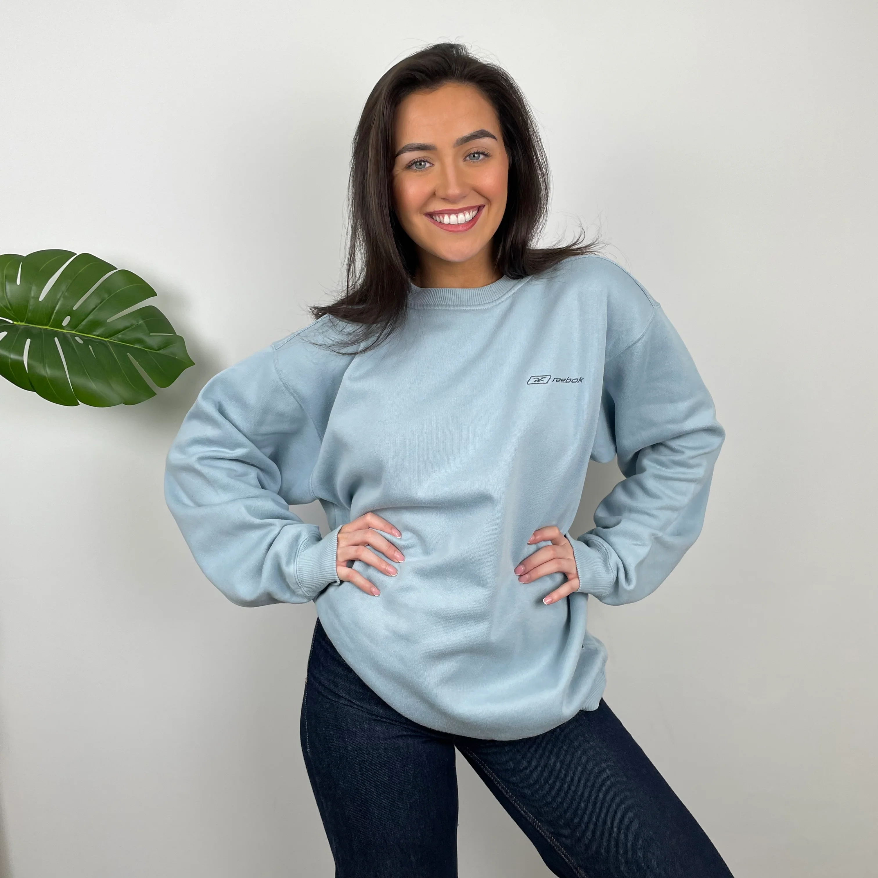 Reebok Baby Blue Embroidered Spell Out Sweatshirt (L)